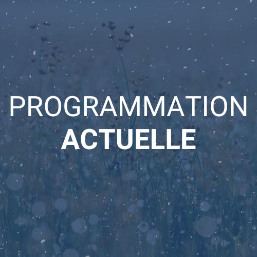 programmation ete